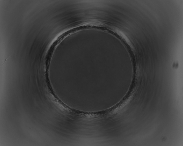 X0000091490923200708301933