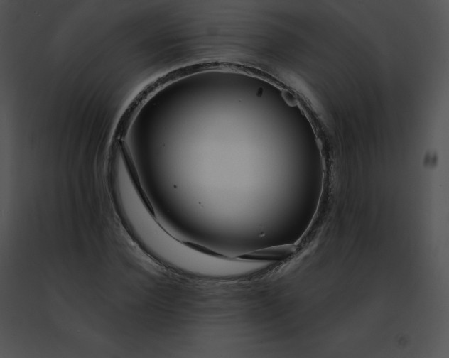 X0000091490924200708301933