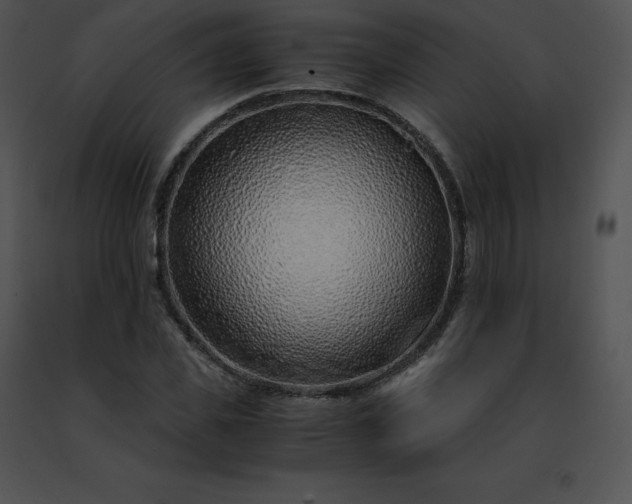 X0000091490925200708301933