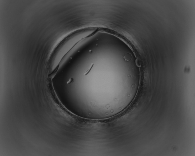 X0000091490926200708301933