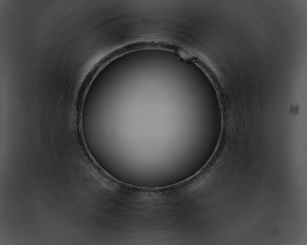 X0000091490927200708301933