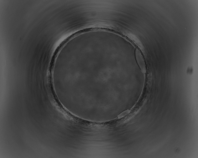 X0000091490928200708301933