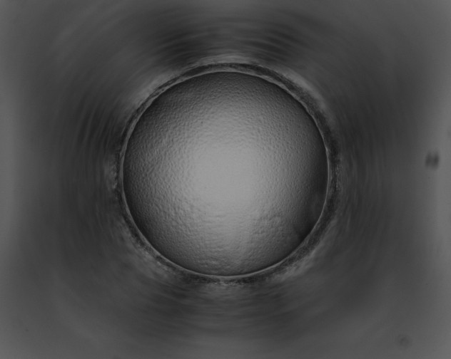 X0000091490929200708301933