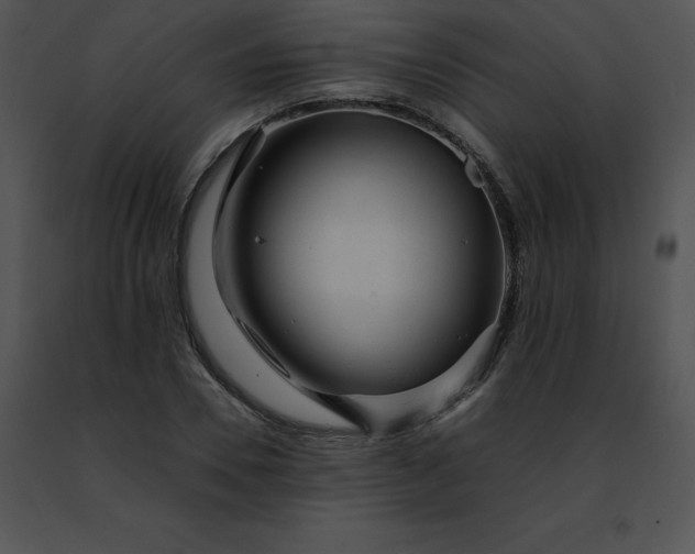 X0000091490930200708301933