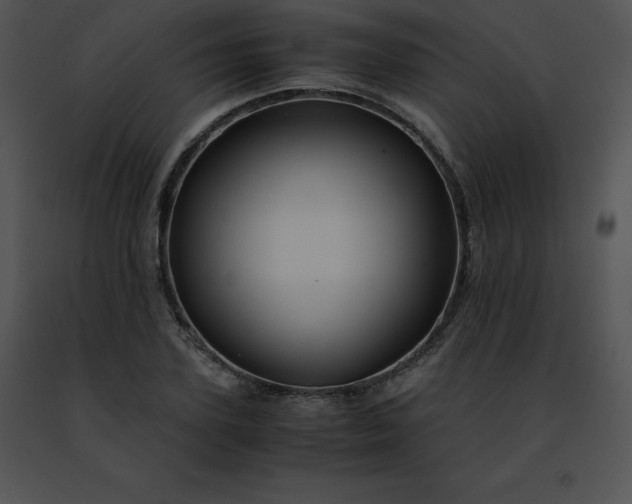 X0000091490931200708301933