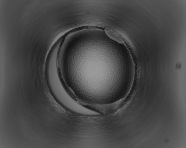 X0000091490932200708301933