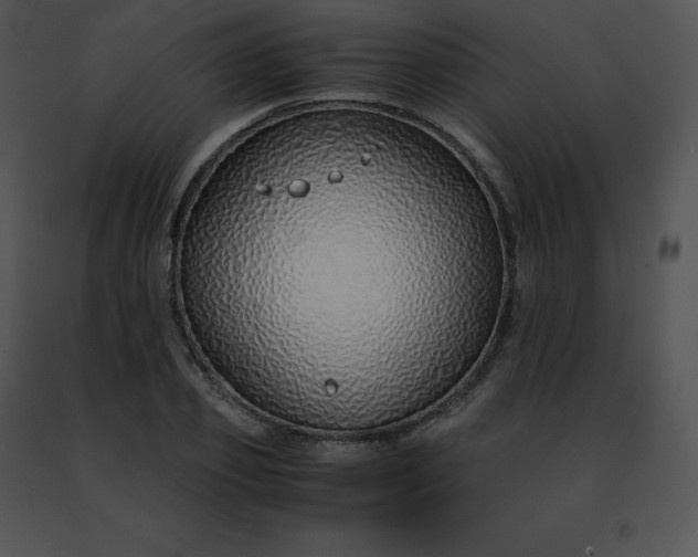 X0000091490933200708301933