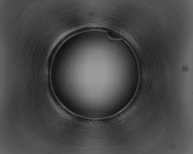 X0000091490934200708301933