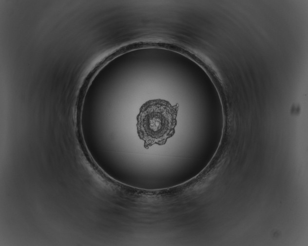 X0000091490935200708301933