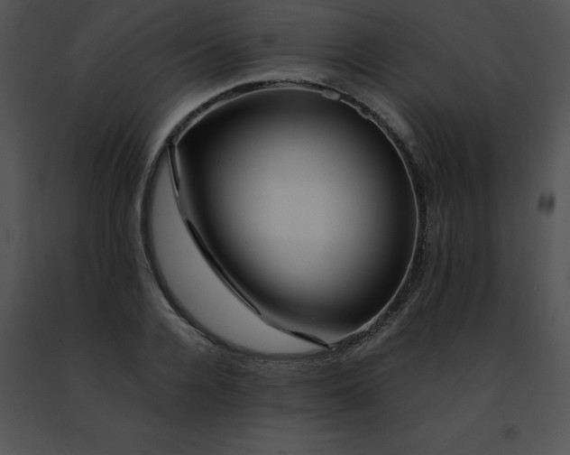 X0000091490936200708301933