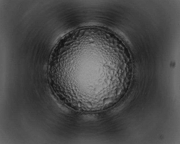 X0000091490937200708301933