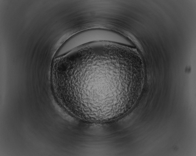 X0000091490938200708301933