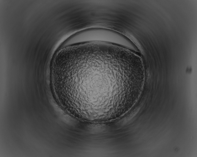 X0000091490939200708301933