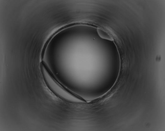 X0000091490940200708301933