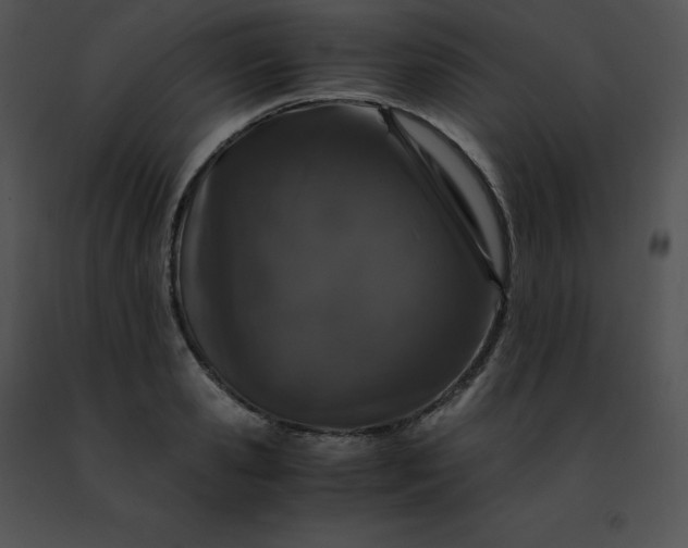 X0000091490941200708301933