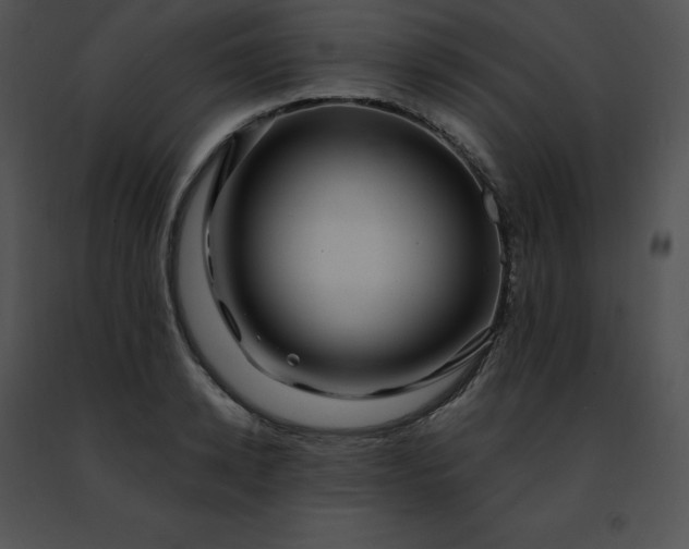 X0000091490942200708301933