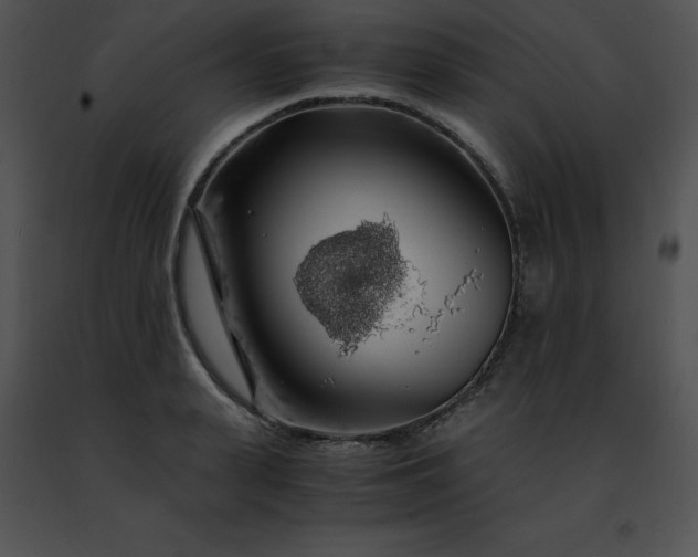 X0000091490943200708301933