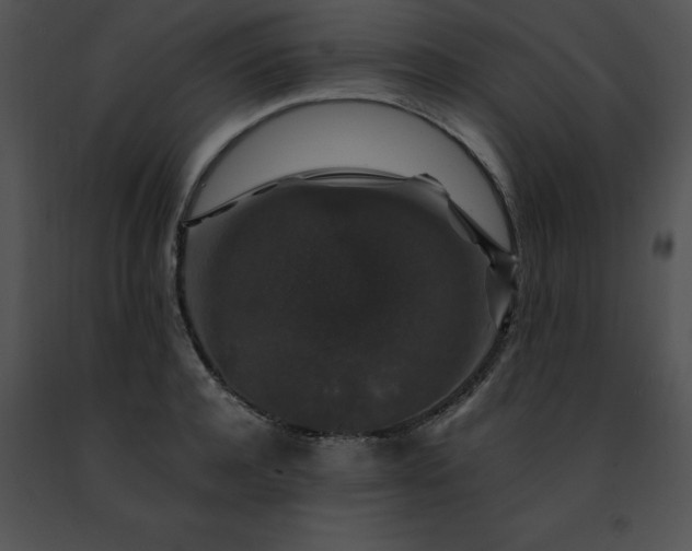 X0000091490944200708301933