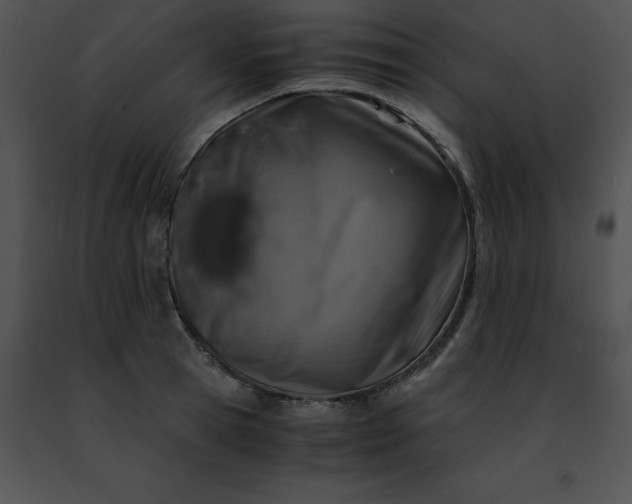 X0000091490945200708301933