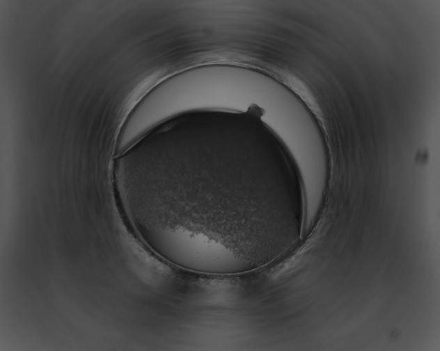 X0000091490946200708301933