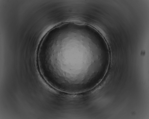 X0000091490949200708301933