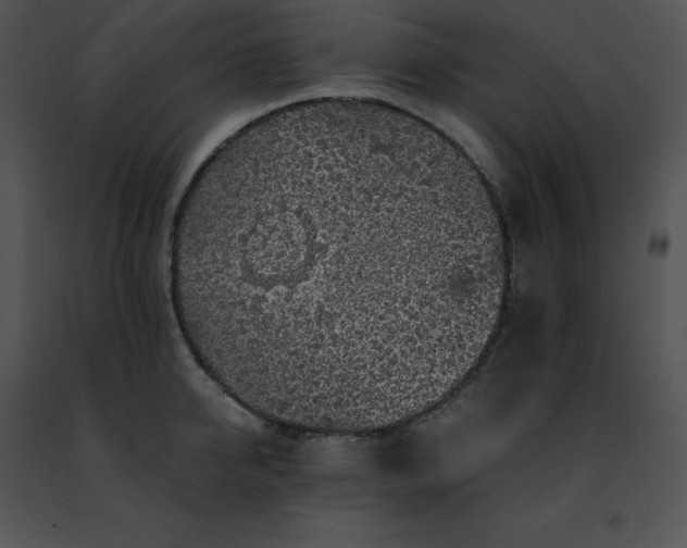 X0000091490950200708301933