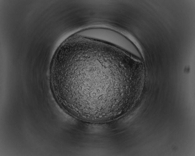 X0000091490951200708301933