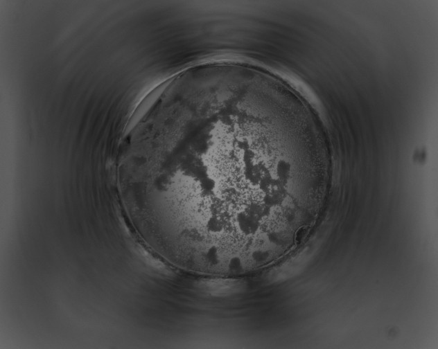 X0000091490953200708301933