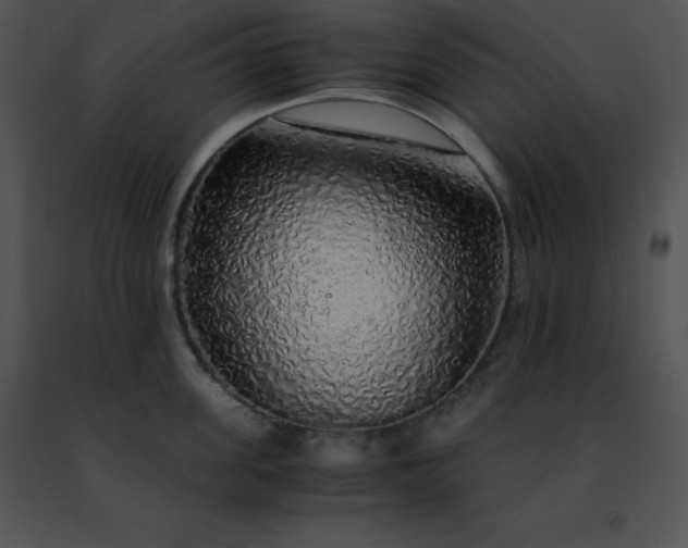 X0000091490955200708301933