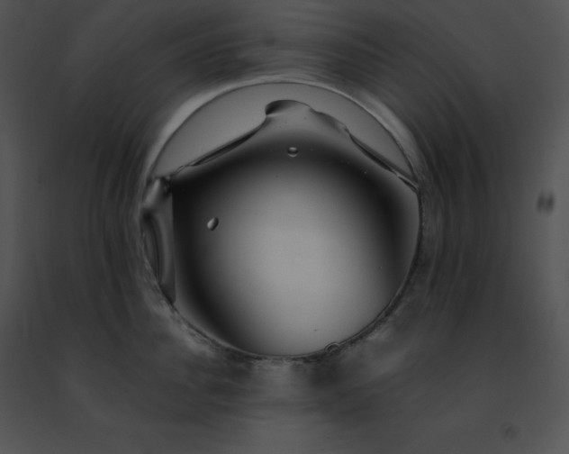 X0000091490956200708301933