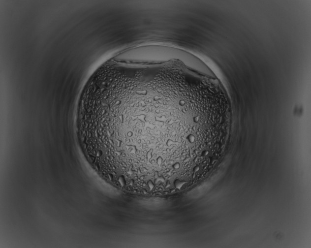 X0000091490957200708301933