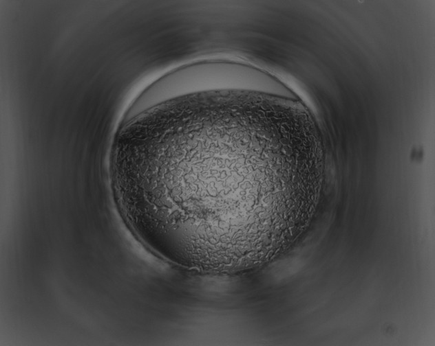 X0000091490959200708301933