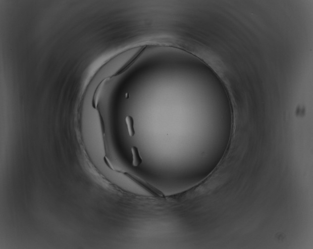 X0000091490960200708301933