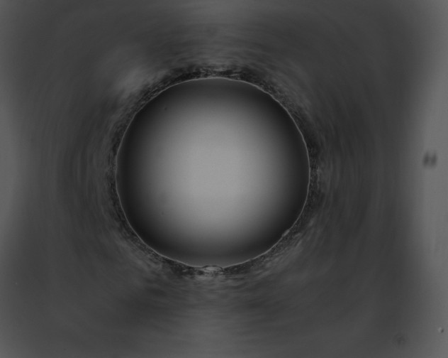 X0000091490961200708301933