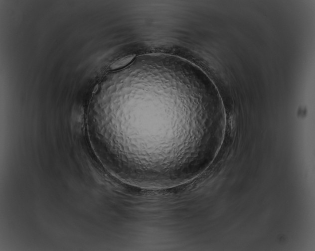 X0000091490963200708301933