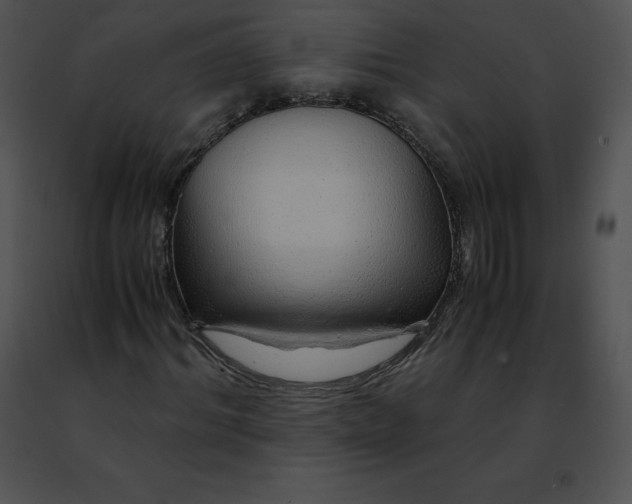 X0000091490964200708301933