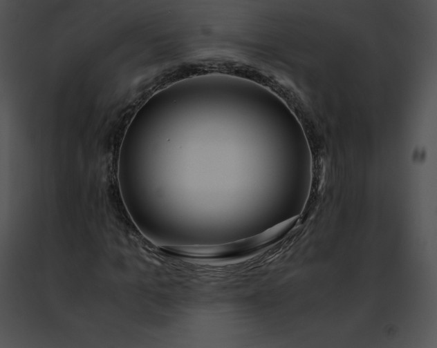 X0000091490965200708301933