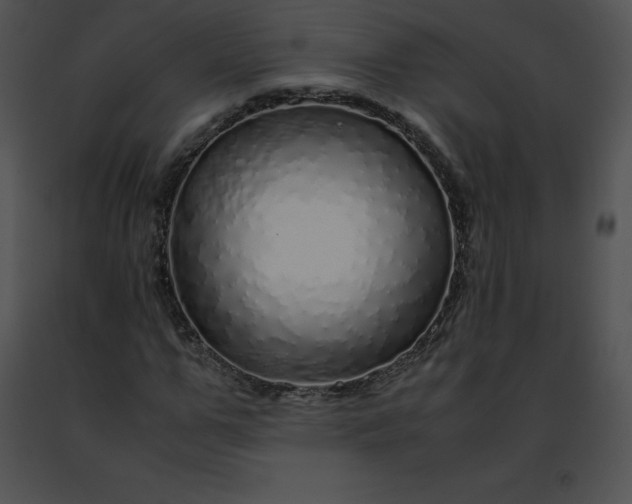 X0000091490967200708301933