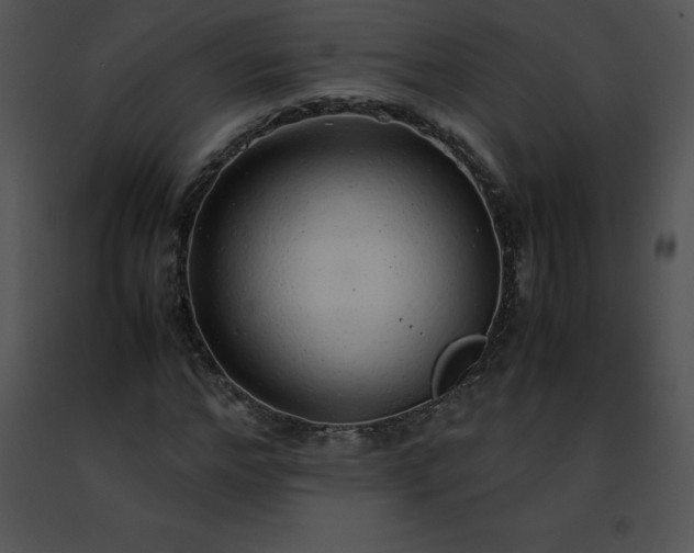 X0000091490968200708301932