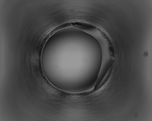 X0000091490969200708301932