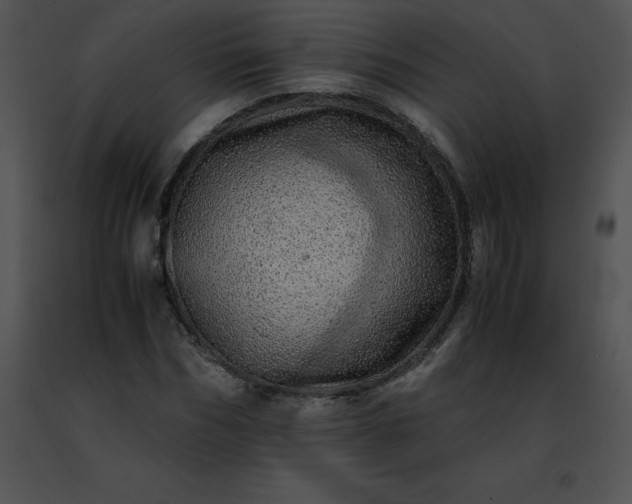 X0000091490970200708301932