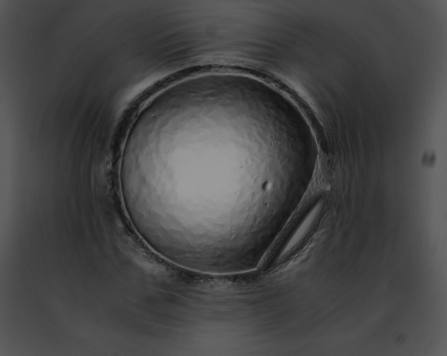 X0000091490971200708301932