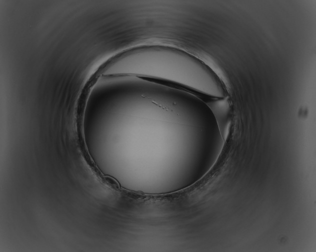 X0000091490972200708301932