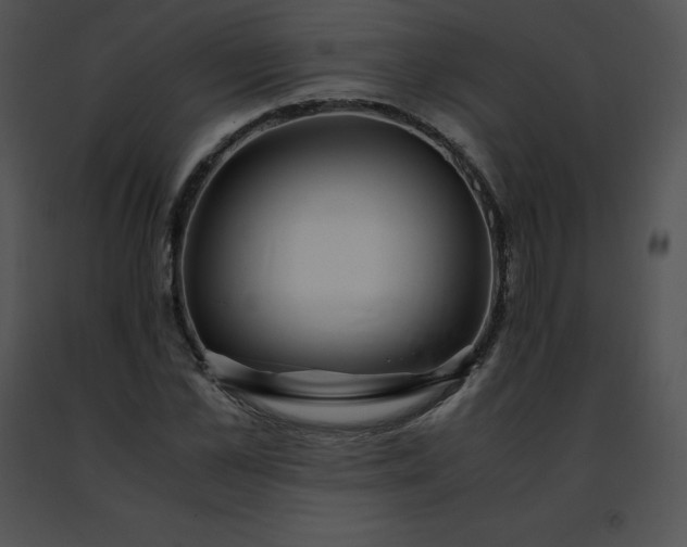 X0000091490973200708301932