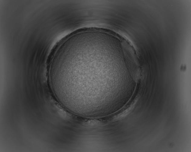 X0000091490974200708301932