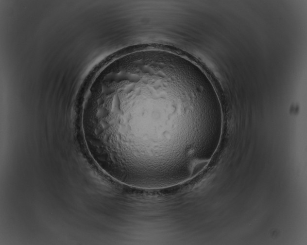 X0000091490975200708301932