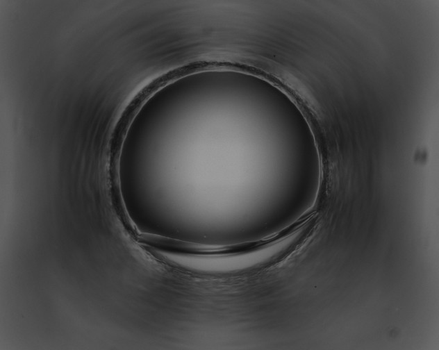 X0000091490976200708301932