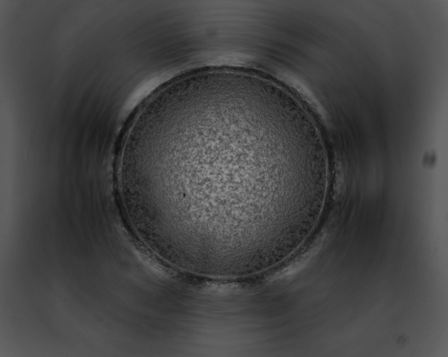 X0000091490978200708301932