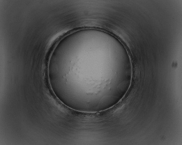 X0000091490979200708301932