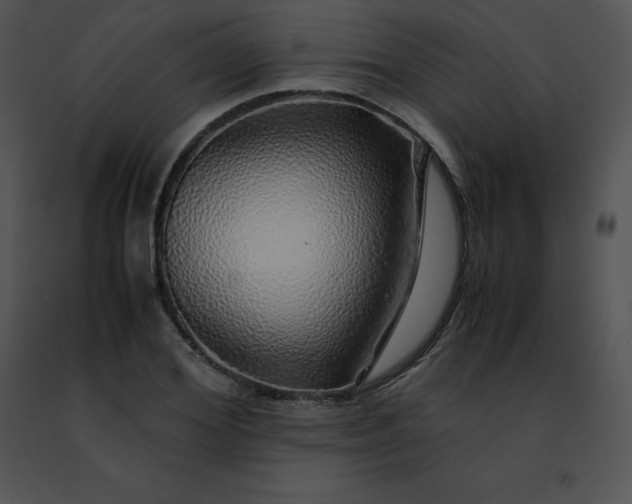 X0000091490980200708301932